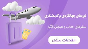 نمونه کار ادمین حانیه صبوری