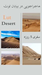 نمونه کار ادمین حانیه صبوری