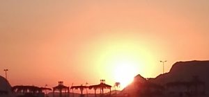 نمونه کار ادمین Mina Fayazi