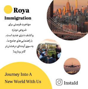 نمونه کار ادمین صبا برجی‌خانی