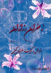 نمونه کار ادمین لیندا رزازان