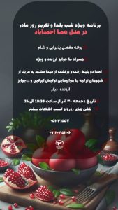 نمونه کار ادمین محمدجواد قلی زاده