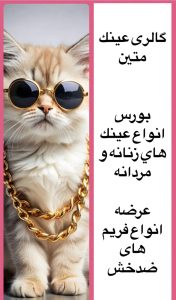 نمونه کار ادمین نگار رضائی