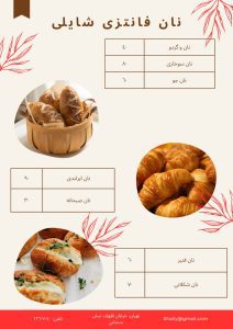 نمونه کار ادمین نگار رضائی