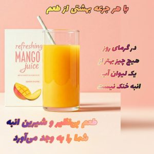 نمونه کار ادمین محمد متین عطایی