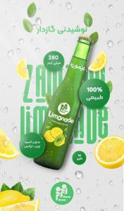 نمونه کار ادمین نازیلا