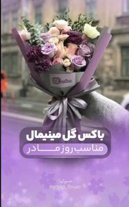 نمونه کار ادمین نازیلا