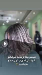 نمونه کار ادمین روشنک رمضانیان