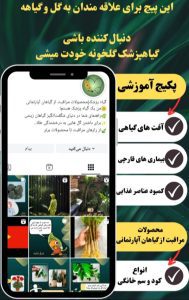 نمونه کار ادمین سیده صبا حسینی