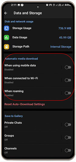انتخاب کردن automatic download روی تلگرام