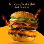 نمونه کار فاطمه کیانی