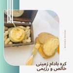 نمونه کار جانا خردمند