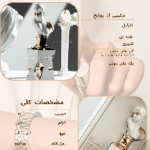 نمونه کار محیا نوروزی