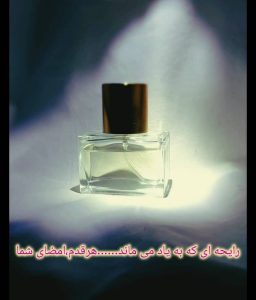 نمونه کار ادمین فرزانه عقیلی