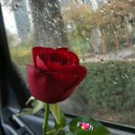 فاطمه حسن زاده