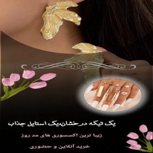نمونه کار ادمین پگاه ابی پور