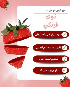 نمونه کار ادمین فاطمه کاملی