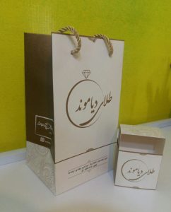 نمونه کار ادمین مریم گلزار