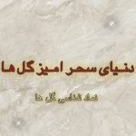 نمونه کار هستی امینی