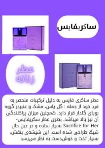 نمونه کار ادمین ژینو مرادی