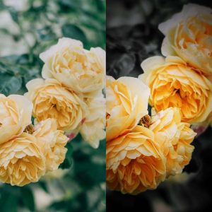 نمونه کار ادمین زهرا اسماعیلی