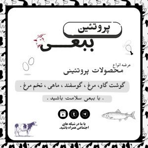 نمونه کار ادمین نرگس جوکار