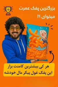 نمونه کار ادمین مائده رجب زاده