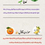 نمونه کار سارا کریمی