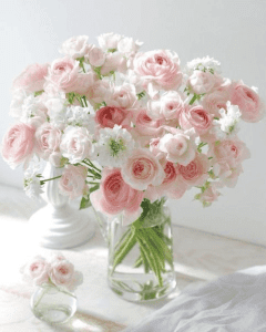 نمونه کار ادمین 09158276517