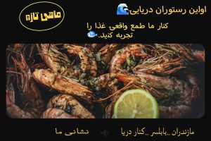 نمونه کار ادمین نگین ابراهیمی