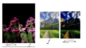 نمونه کار ادمین مریم سابقی نژاد