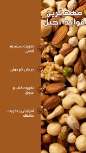 نمونه کار ادمین آتنا هلالات