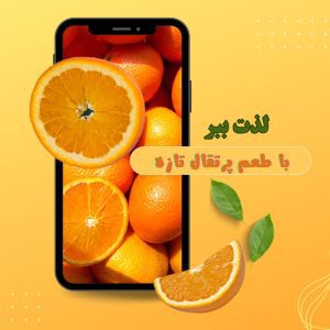 نمونه کار ادمین الناز شادانی
