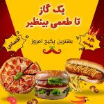 نمونه کار الناز شادانی