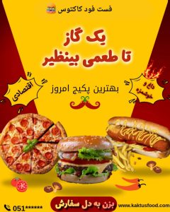 نمونه کار ادمین الناز شادانی