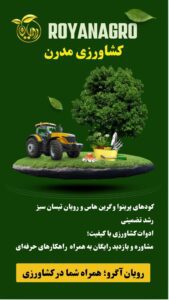 نمونه کار ادمین زینب کیانی