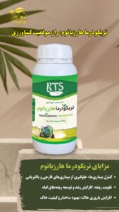 نمونه کار ادمین زینب کیانی
