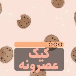 نمونه کار زینت سلطانی