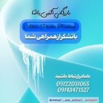 نمونه کار سعیده سیفی
