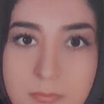 09050682694