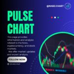 نمونه کار اتنا پورنریمان