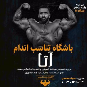 نمونه کار ادمین حسین همایی