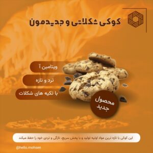 نمونه کار ادمین محسن امیری