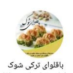 نمونه کار نادیه نجم الدین