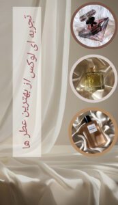 نمونه کار ادمین ساناز شاطری