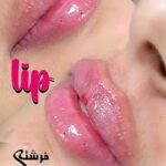 نمونه کار ساحل خردمند