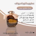 نمونه کار مینا بهرامی