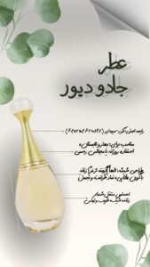 نمونه کار ادمین هانیه احمدیان