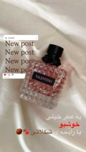 نمونه کار ادمین ستایش میناوند