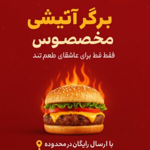 نمونه کار ادمین محمد پارسا امیری نژاد